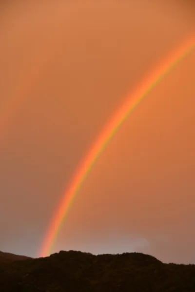 DSC_6055 (Large).JPG